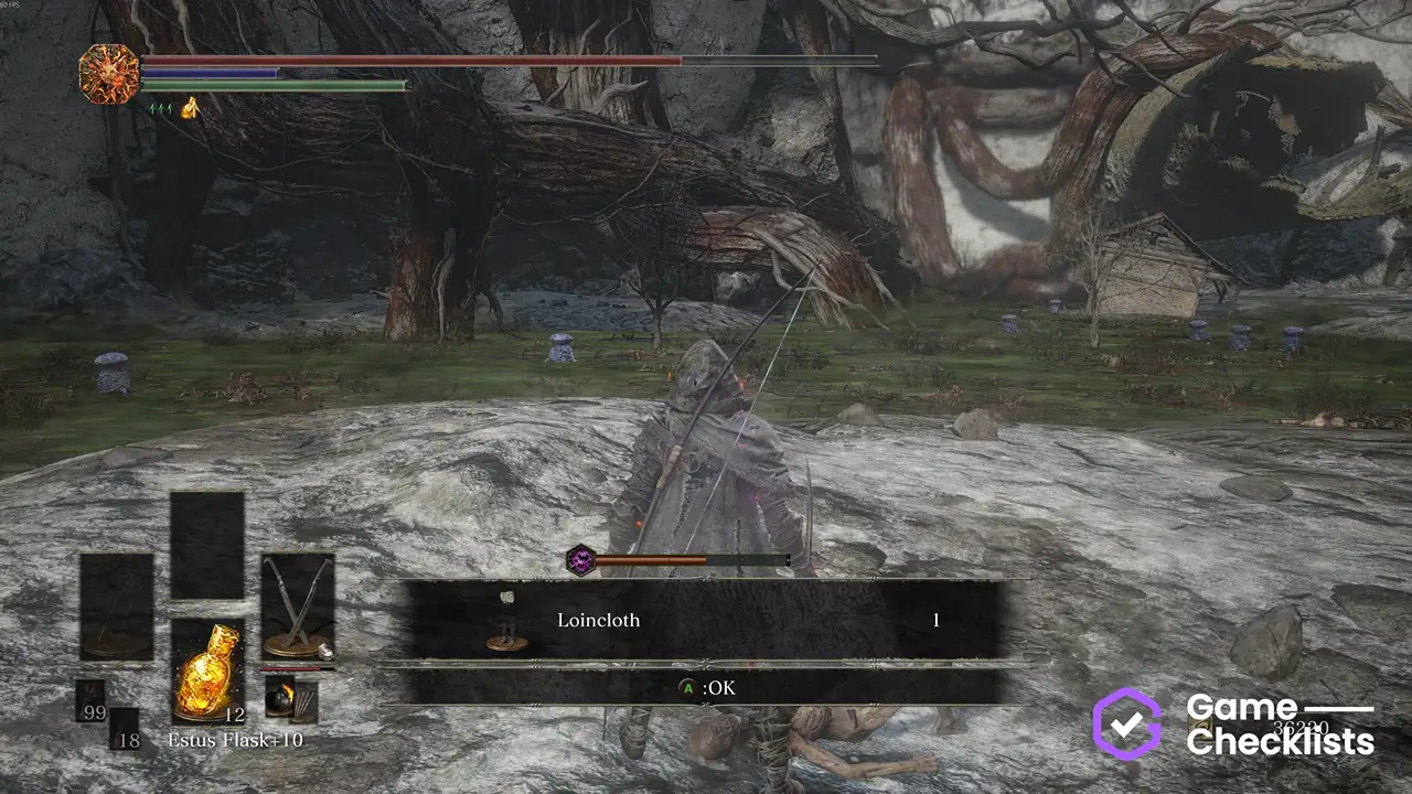 Loincloth location