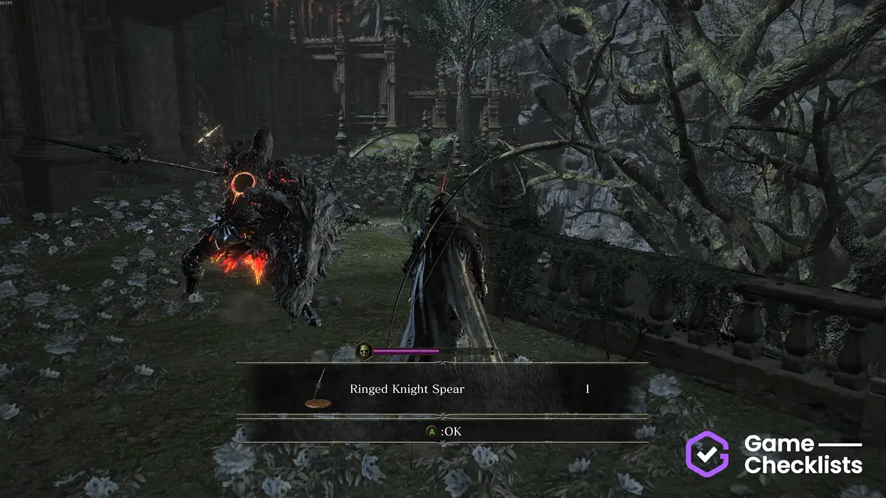Ringed Knight Spear location