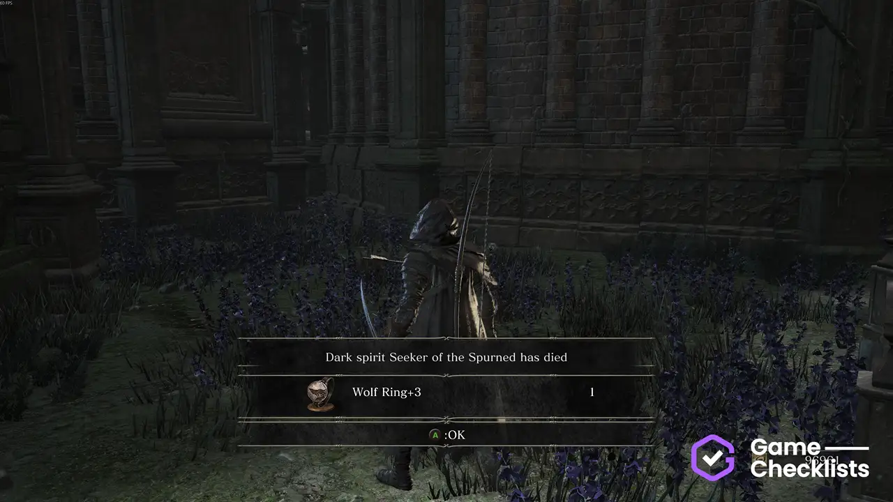 Wolf Ring +3 location
