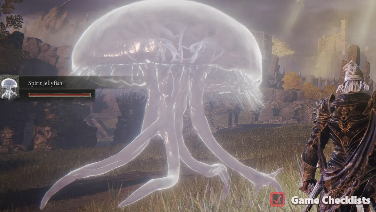 Spirit Jellyfish Ashes quest NPC