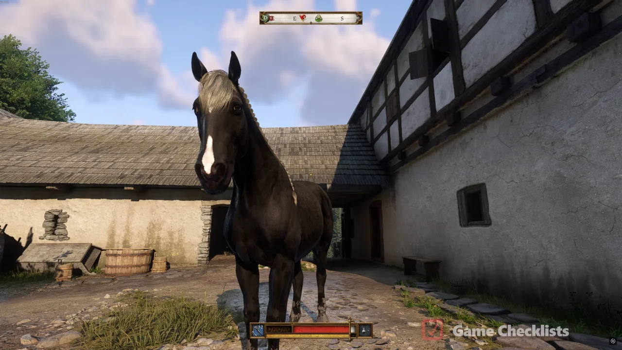 Attila horse at Maleshov stud farm pen