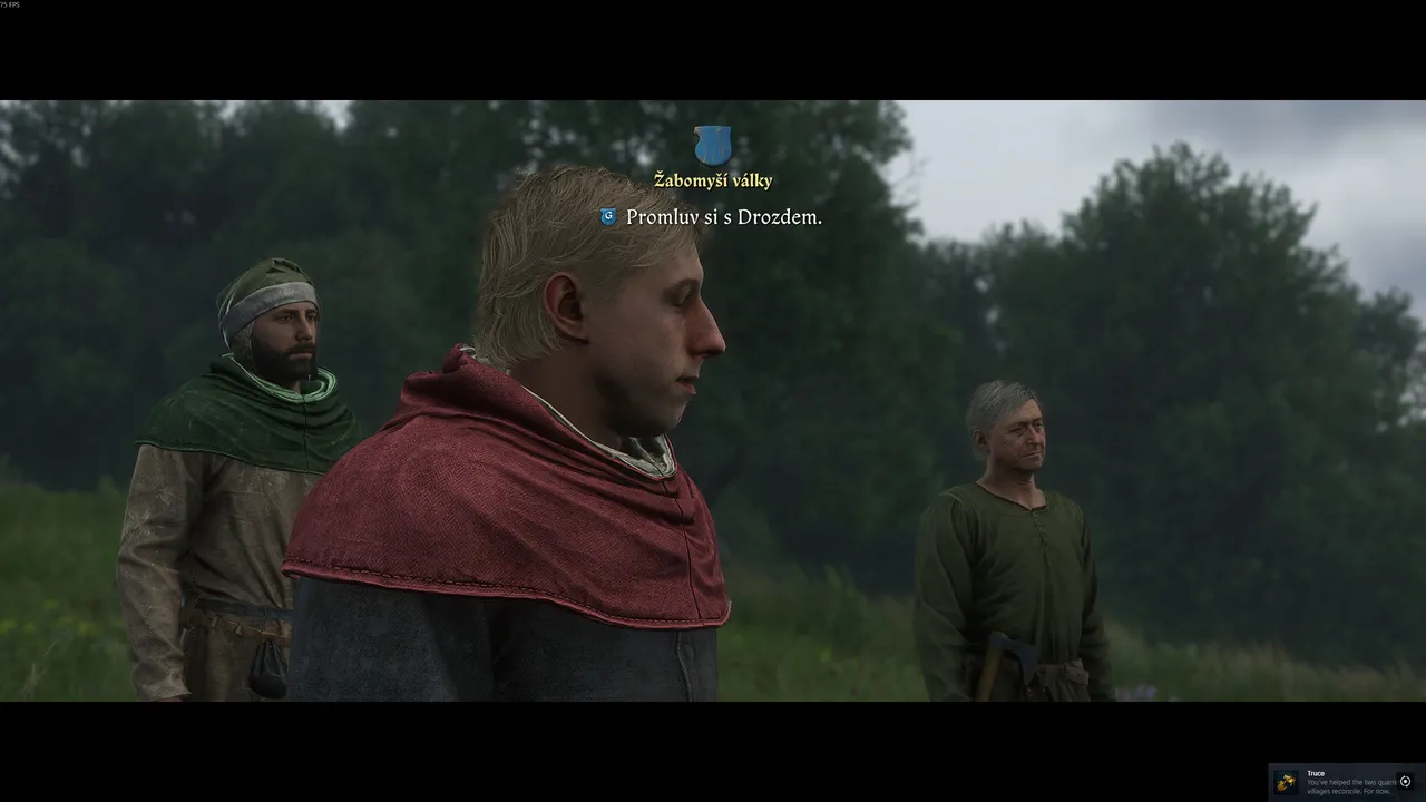 kcd2-battle-frogs-truce-achievement: Truce achievement pop-up after peaceful pasture resolution