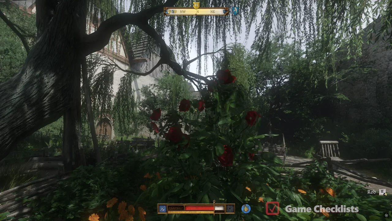Rose bush in Garden of Eden for Striped Tonies
