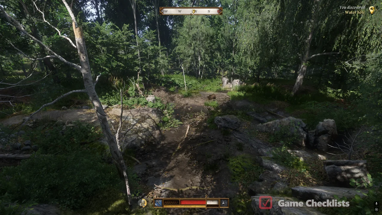 Water Hole interesting site in Kingdom Come Deliverance 2