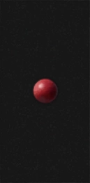 Midwinter Night's Red Nose