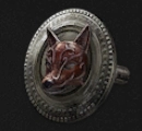 Red Fox's Amulet