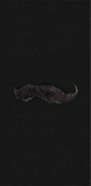 Famous Detective's Mustache