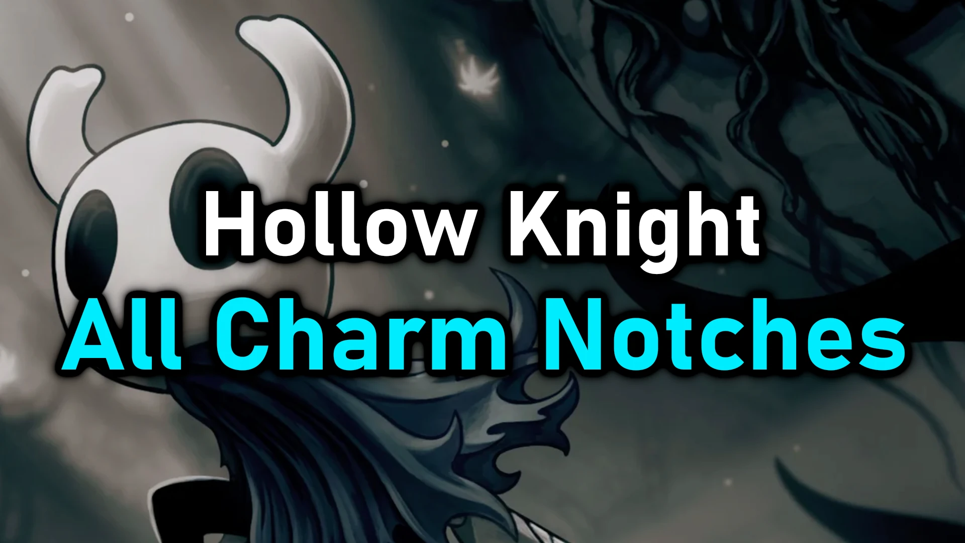 Hollow Knight All Charm Notches Checklist